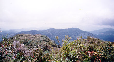 i2.jpg (45519 bytes)