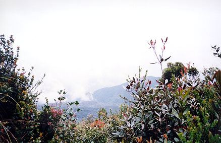 i6.jpg (52989 bytes)
