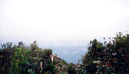 i7.jpg (35906 bytes)