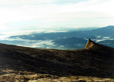 kin_5.jpg (27850 bytes)