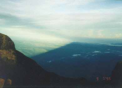 kin_rise.jpg (17996 bytes)