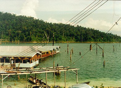 float.jpg (43684 bytes)
