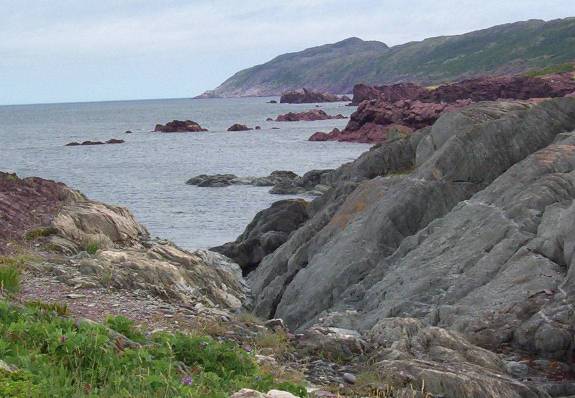 Tickle Cove