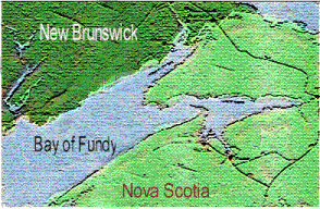 fundy