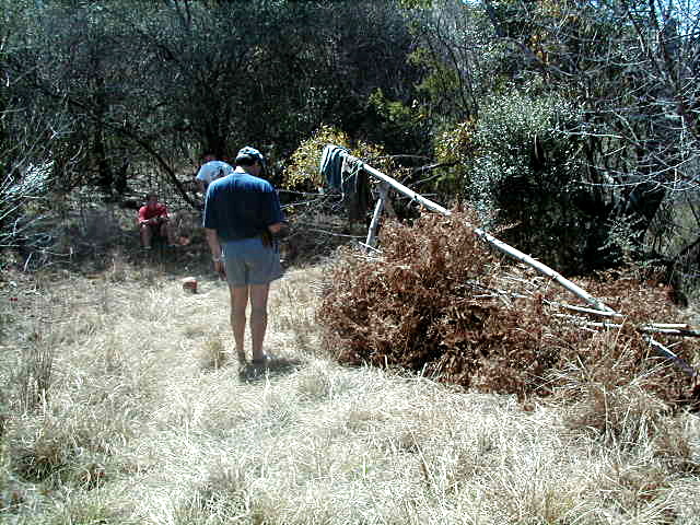 ziggysite.jpg (51584 bytes)