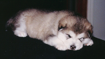 Hope At 3 Weeks