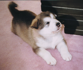 Hope At 7 Weeks
