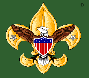 BSA logo