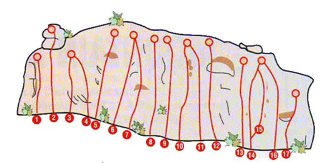 Plano de Rapun viejo