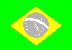 Brazil flag