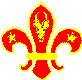 SA patch