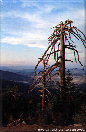 Cuyamaca, again.