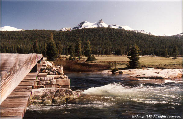 Tuolomne Meadows