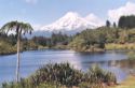 From Lake Mangamahoe