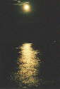 Moonrise2