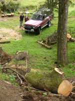 dragging log to mill site