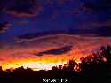 storm16