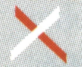 FFRP_marca2.jpg (31342 bytes)