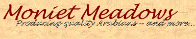 MonietMeadows