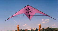 mykite