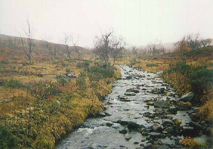 creak by hut