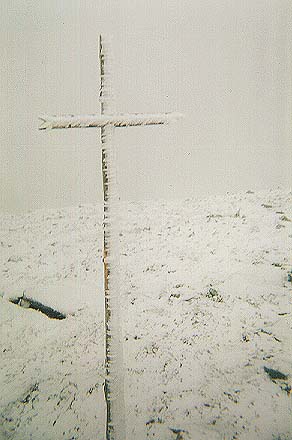 snowy post