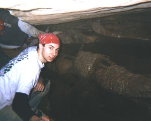 Rimstone in Bat Cave