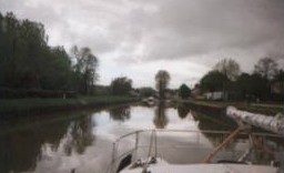 Cat to cat in the canals