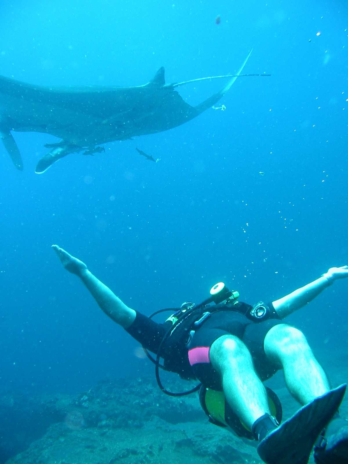 Keith and Manta at Aliwal Shoal