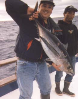 albie07.jpg - 50698 Bytes