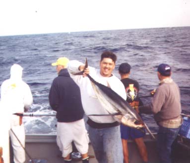 albie09.jpg - 59342 Bytes