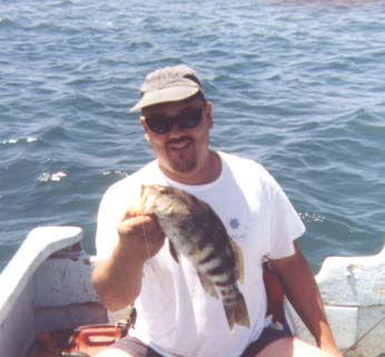 bass02.jpg - 62986 Bytes