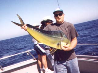 dodo01.jpg - 50533 Bytes