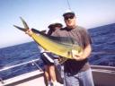 Nice Dorado