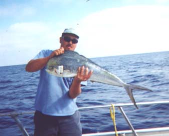 dodo02.jpg - 51058 Bytes