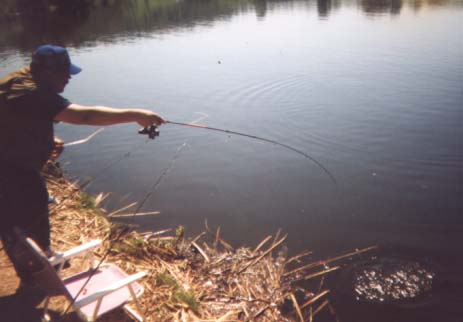 jim.jpg - 52573 Bytes