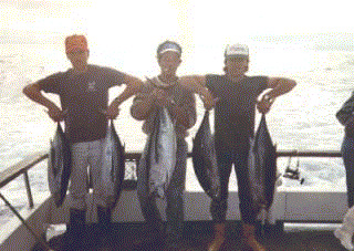 moroalb.gif - 27671 Bytes