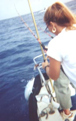 skip1.jpg - 44088 Bytes