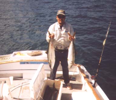 yt03.jpg - 61467 Bytes