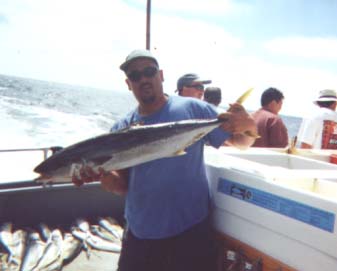 yt05.jpg - 50749 Bytes