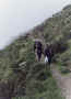 foto8_copia.jpg (84855 bytes)