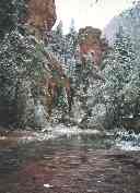 Oak Creek in Snow!