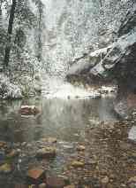 Oak Creek reflections