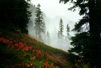 Fall scenery