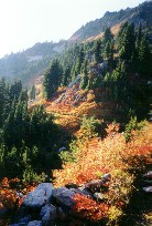 Skykomish Mountain