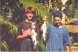 mackerel.jpg (19087 bytes)