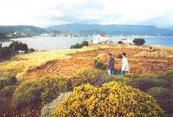 ktvtravw.jpg (17289 bytes)