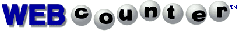 Web Counter