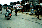 pokhara