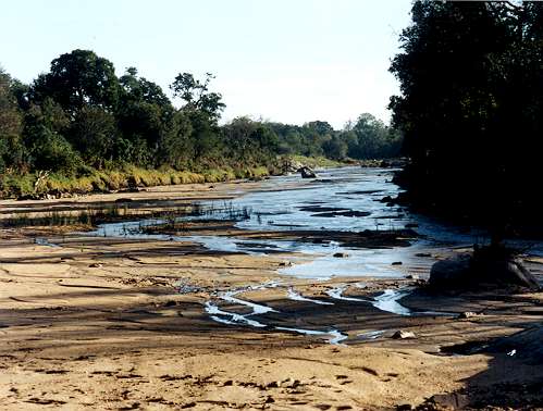 River1.jpg (37748 bytes)